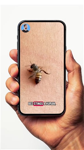 Why Bees Die After Stinging: The Fascinating Truth