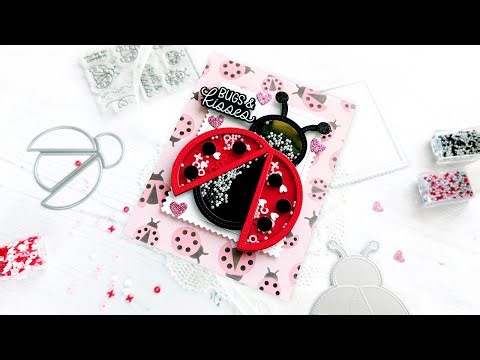 Ladybug Shaker Card