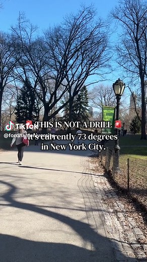 Enjoying Spring in Central Park, NYC