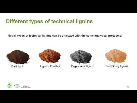 Renewable resources: the future role of lignins
