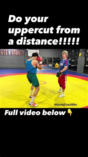 Boxing Technique with Coach Mike: Long-Range Uppercut on the Mitts!!! #shorts