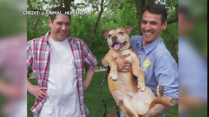 WCCO Pet Of The Week Reunited With Owner