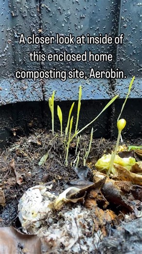 Aerobin Composter on Instagram: "👀A closer look at this enclosed home composting site. Aerobin composts all year round and helps to make your soil better! 💚👍😊 💫Composting is a cycle of life and it promotes a cycle of healthy lifestyle too because it motivates people eating more fresh & seasonal food! ♻️Eat ~> Compost ~> Grow ~> Eat 💫 Check our other posts to see more how this loop looks like in action! 💯There is no magic with composting but when the design meets nature’s requirements, you