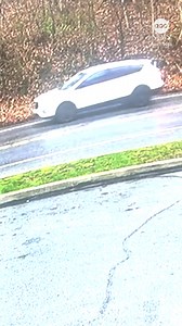 1.1M views · 7.9K reactions | A near-death experience was caught on camera outside of a gas station in Chester County, Pennsylvania when a massive tree came crashing down on top of a car. Amazingly, the woman was able to get out of her car, seemingly dazed and clutching her head while running to the driver in front of her. https://abc7ne.ws/4liofYd | ABC7 News | Facebook