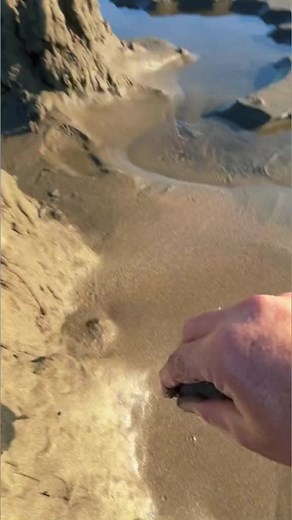 6M views · 10K reactions | Who Else love Making Sand Castles #loop #satisfyingvideos #oddlysatisfying #satisfying | Plug Nation Media LLC | Facebook
