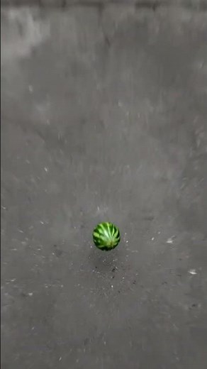 Watermelon Drop Experiment 🍉 Oddly Satisfying Smash