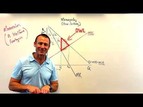 A Welfare Analysis of A Firm with a Monopoly