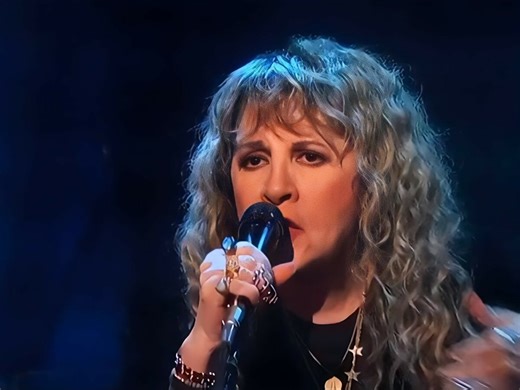The musician who saved Stevie Nicks from retiring forever