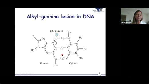 Prof. Ingrid Tessmer from University of Würzburg webinar