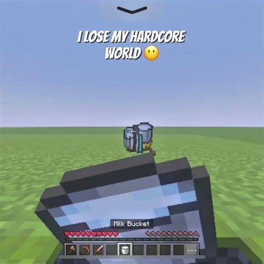 Minecraft I lost my hardcore world