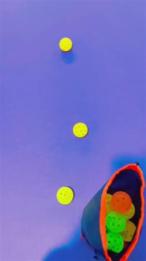 PEPK匹克球产业链产品出口#工厂#匹克球运动馆#时尚休闲#亲子匹克球#激情挥拍