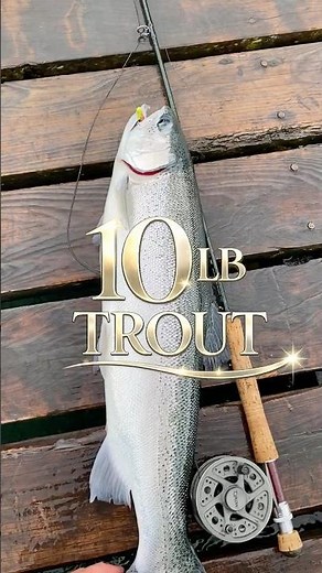 A 10lb trout on a BOOBY fly?!