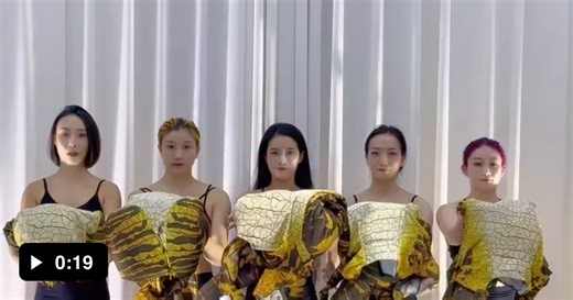 Those house lizards living in your ceiling at 5am - Video