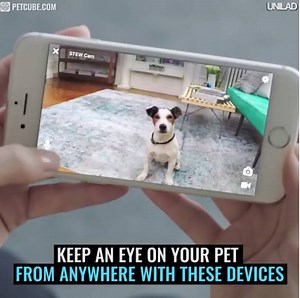 3.4M views · 7.4K reactions | Every animal owner needs this device  | UNILAD | Facebook