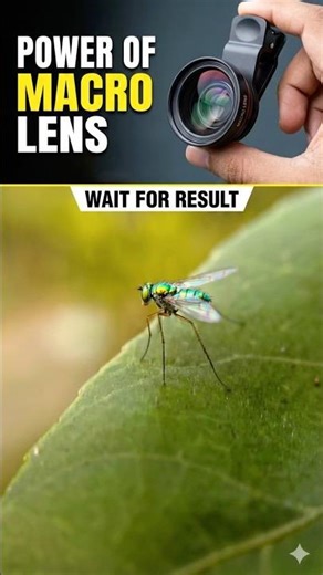 How to Click on macro photography with mobile Tips And Tricks #Shorts #YouTubeShorts #Photography