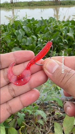 How to set up Fishing Bait Soft Lure 👍👍 #fishing #mancing #carpfishing #fishingtips