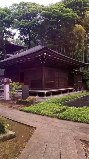 Lost in the beauty of Japan ✨ | 日本の美しさに迷い込んで ✨