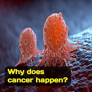 10K views · 70 reactions | Why does cancer happen? | Health Tricks & Tips English | Facebook