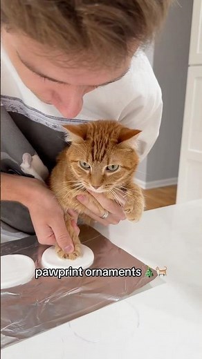 Gary’s first paw-print ornament 🥹