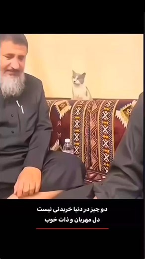 ‎ممدی‎ on Instagram: "This viral video captures a man repeatedly attempting to flee a pursuing Belgian Malinois through a kennel gate, creating a comedic "infinity loop" as the dog's relentless energy traps him in a cycle of evasion, filmed at what appears to be a dog training facility. , an account specialising in absurd, decontextualised human moments, the clip amassed over 8 million views and 34,000 likes within weeks, highlighting the breed's renowned stamina—Belgian Malinois can sustain hig