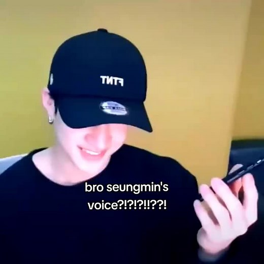 Seungmin Omega AU Whispering and Moaning Noises Compilation