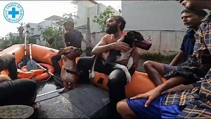 The rescues continue…animals and people. See what @HelpAnimalsIndia grantee https://www.facebook.com/bluecrossofindia is doing! In the face of Cyclone Michaung , Mr. Dawn and the incredible rescue team swiftly sprang into action. Their unwavering determination saved countless lives, both human and animal alike. With their heroic efforts, everyone was safely transported to higher ground. Hats off to the amazing team! Re heavy rains anywhere furry friends need our help which can be particularly ch