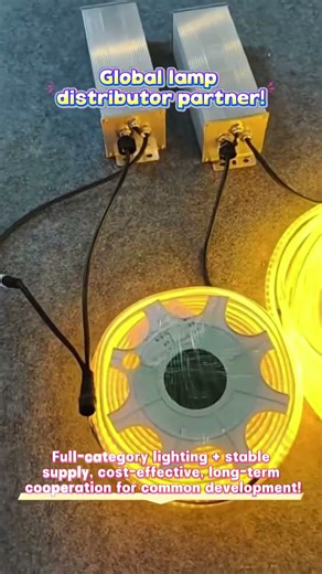 High-reputation enterprise in lighting industry!