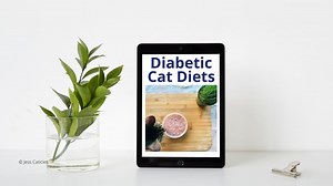 Diabetic cat diets - Jess Caticles