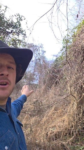 Who wants to see me dig a basement by hand. Run up the views an I'll do it #homesteading #offgrid | Eli Miller