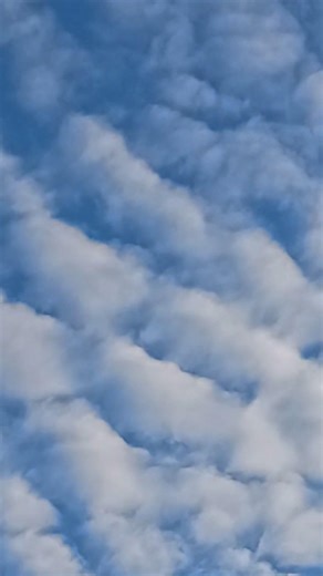 Der Himmel über Berlin