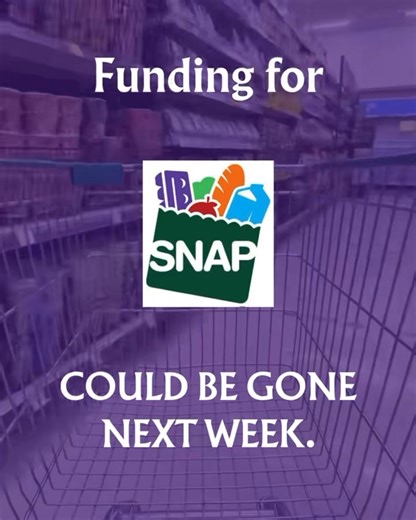 4.3K views · 65 reactions | Supplemental Nutrition Assistance Program (SNAP) is beginning to run out in some states. Here’s the facts: More than 40 million low-income Americans could lose access to food benefits next week  MO-04 families and families all over USA are worried about their next meal…while  Washington Democrats are actively treating their suffering like a bargaining chip. | Congressman Mark Alford | Facebook
