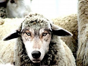 Your Personal Trainer Is A Fraud