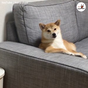 20K views · 2.1K reactions | Watching it grows is my new hobby from now! So good.. | PECO | Facebook