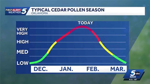 Cedar pollen season peaks in Oklahoma, causing allergy symptoms