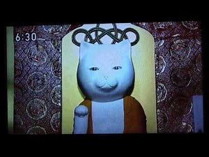 ニュース630京いちにち 猫猫寺 小雪住職 NHK総合テレビ