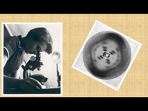 Mini lezione: breve storia del DNA