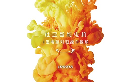 杜亚DM35管状电机 E型 对码视频