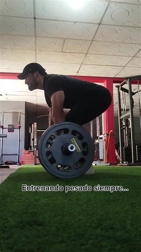 Debo estar listo 💪🏾🐻 #gym #bear #parati #fight #humor