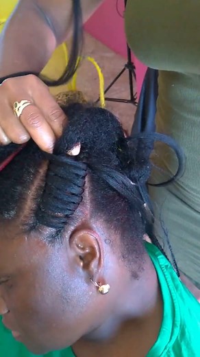 Exploring Tree Braiding Hairstyles Across Cultures