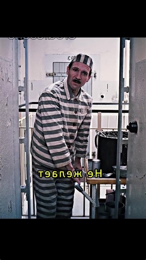 Top Movie Reviews from TikTok Film Competition