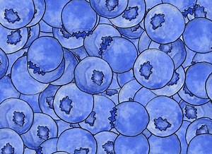 Violet Beauregarde Animation