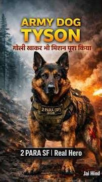 Army Dog Tyson Ki Bahaduri 🇮🇳| Goli Khakar Bhi Mission Complete | 2 PARA SF