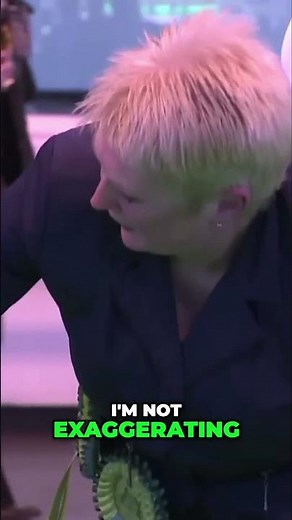 The Ultimate Bird Dogs Nature's Perfect Hunters