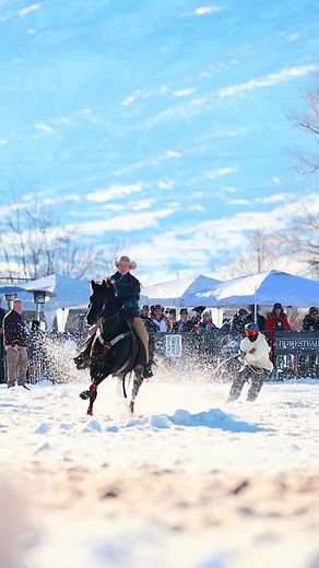 3.3K reactions · 270 shares | 65 days until snow, speed, and pure adrenaline hit the course. Buckle up! Skijoring season is coming fast. ❄️ #skijoring #horses #cowboy #skiing #winter #cowgirl #skijoringutah #horse #cowboylife | PRO Skijor | Facebook