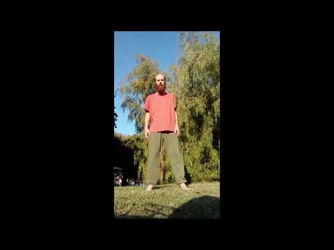 Swaying Willow in Gentle Breeze to Feel Qi