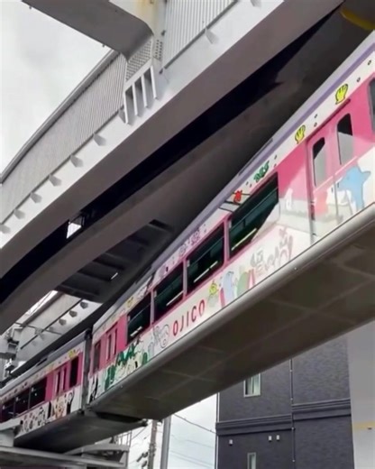 18K views · 310 reactions | Would you ride this upside-down train?...