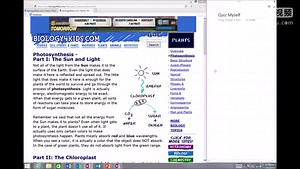 How students can use OneNote to Quiz Themselves