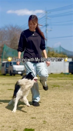 ボーダーコリーの相棒とダンス練習🐶🐾 #dog #doglife #dogtricks