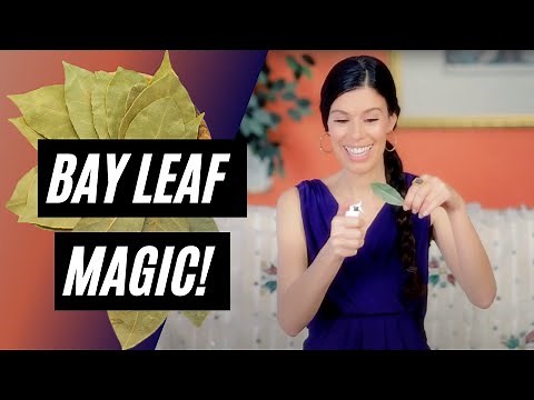 Bay Leaf Burning Is Amazing!