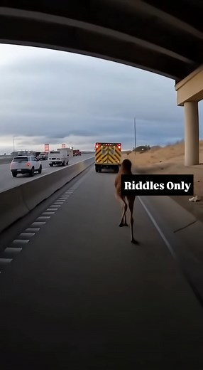 2.4K views | When you take the wrong exit and end up in a whole different movie genre | Riddles Only | Facebook